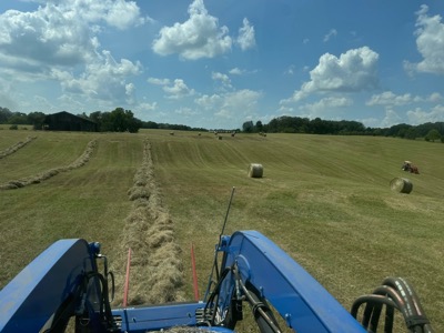Round bales scattered across a freshly cut field